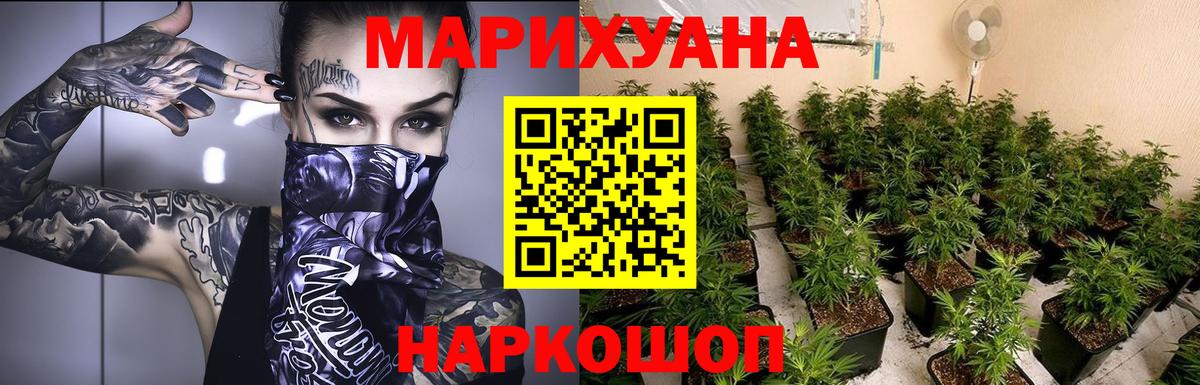 Марихуана план Аша